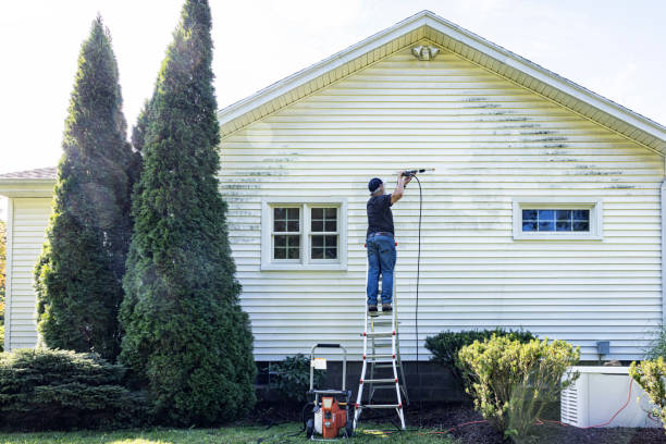 Best Best Pressure Washing Companies  in Blackstone, VA